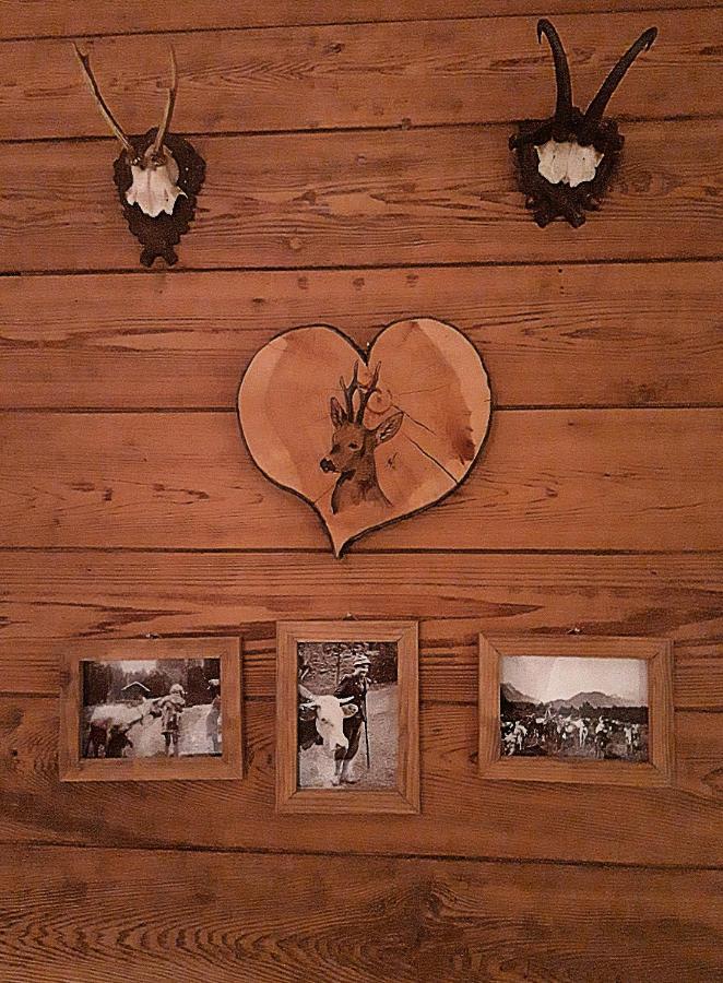 Berggasthof Karntner Alm Hotel มิทเทนวัลด์ ภายนอก รูปภาพ